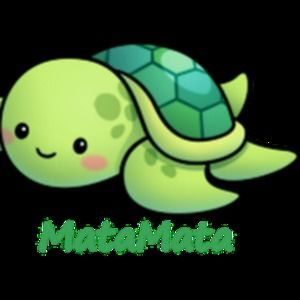 Meet your Posher, Mata